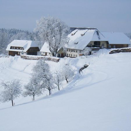 Brosihof Apartment Erlenbach  Exterior photo