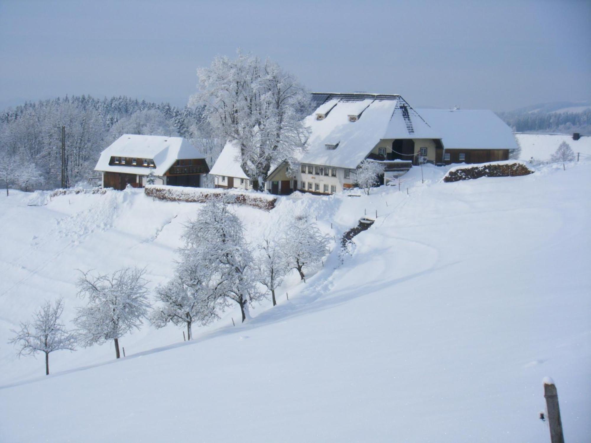 Brosihof Apartment Erlenbach  Exterior photo